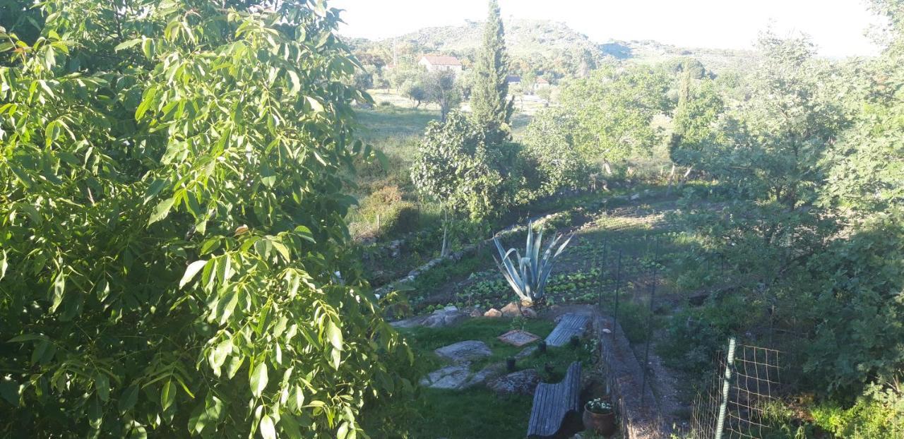 Casa Da Vizinha, Quinta Das Memorias Santo António das Areias Eksteriør bilde