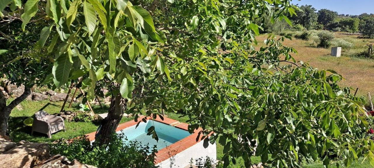 Casa Da Vizinha, Quinta Das Memorias Santo António das Areias Eksteriør bilde